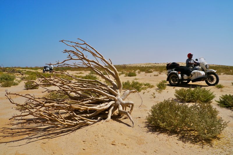 Mauritania